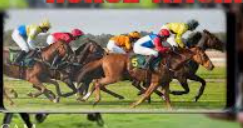 การเลือกสนามแข่งม้า ใน ufabet: เทคนิคและวิธีวิเคราะห์เพื่อชนะเดิมพัน